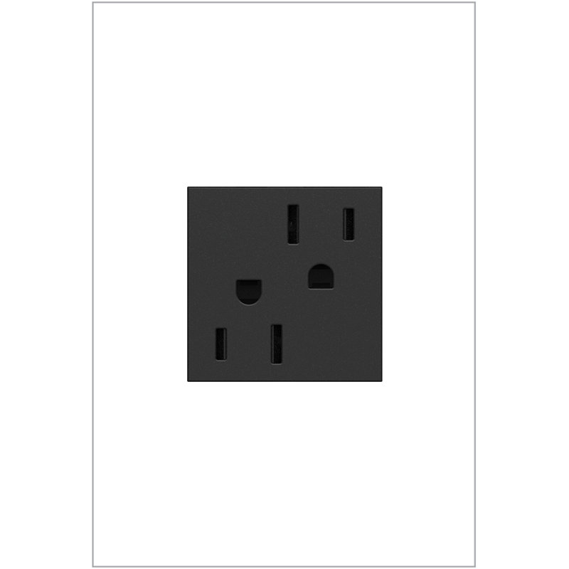 Prise de courant Adore® 15 ampères inviolable, Graphite