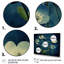 «Blossoming Buttercup Flowers» - impression rétro-1067628884-1067628882