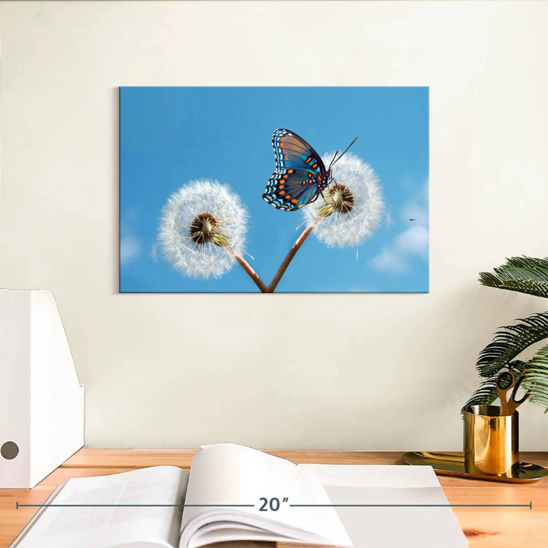 Brampt Butterfly On Dandelion