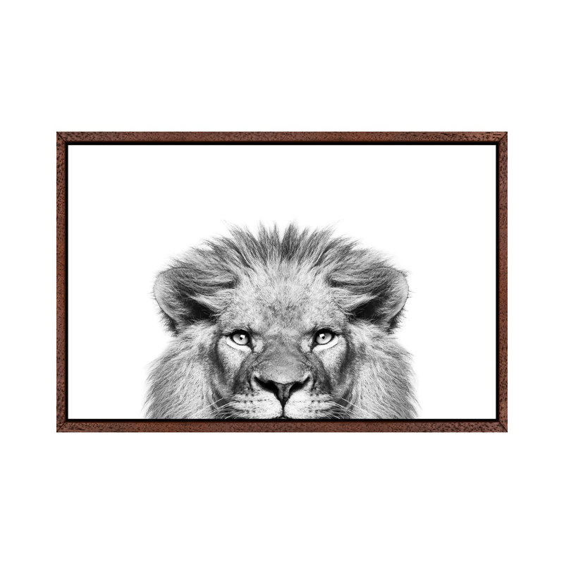 Peeking Lion by Sisi & Seb - Print on Canvas, Classic Brown Wood Framed, 66.04 cm H x 45.72 cm W