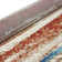 Sahiba Performance Abstract Indoor Rug