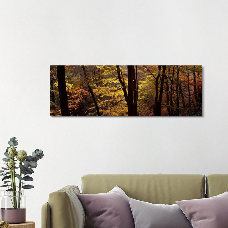 Mid Section View Of Trees, Littlebeck, North Yorkshire, England, United Kingdom by Panoramic Images - Wrapped Canvas Panoramic Print