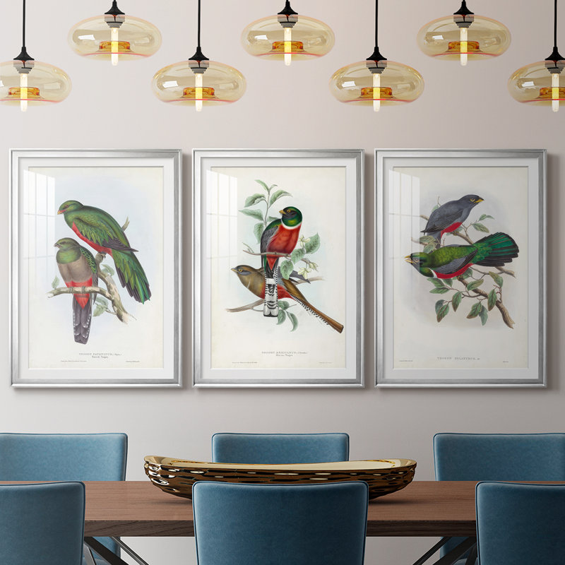 Gould Tropical Birds I - Impression personnalisée de qualité supérieure avec cadre mat - 3 pièces, Argent argent