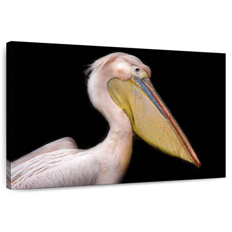 Brampt Pelican Portrait, 26" H x 39" W