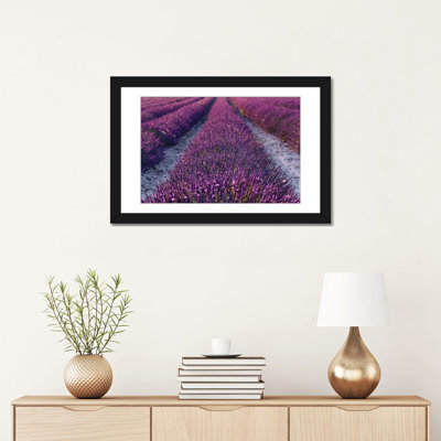 Lavender Symphony II by Stefan Hefele - Photograph