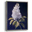 «FLORAL Series CLxxxvii», reproduction encadrée - bois massif-857108459