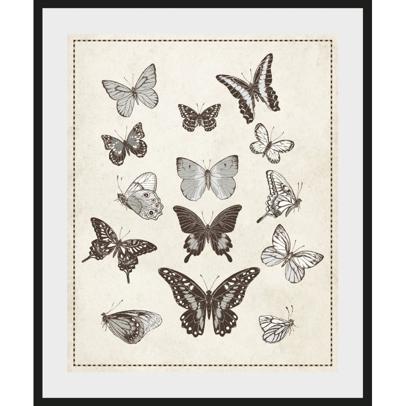 Butterfly - Single Picture Frame Print, 60 cm H x 50 cm W x 5 cm D