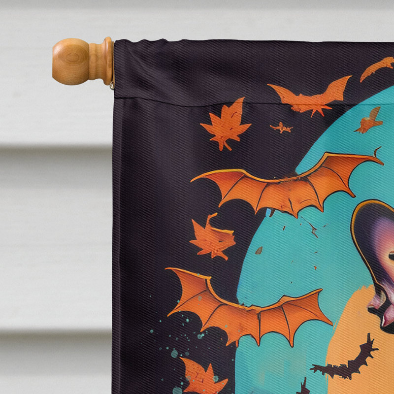 Drapeau de jardin d'Halloween en polyester Jahzi, 40 po x 28 po