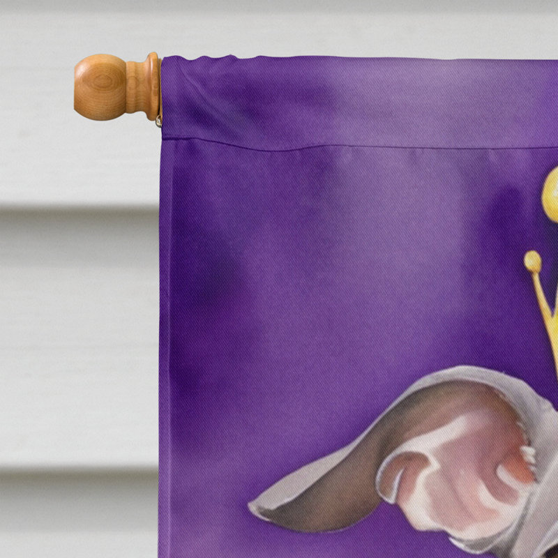 Drapeau de maison Mardi Gras en polyester H 40 po x l 28 po 