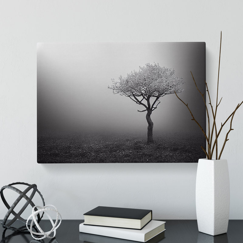 Lonely Tree - Wrapped Canvas Print, 50cm H x 76cm W x 3cm D