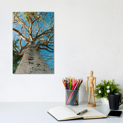 Big Tree by Alexandre Venancio - Wrapped Canvas Print
