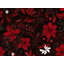Housse de couette -92317750-92317766