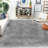 Indoor Rug-841301744