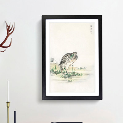 Chinese Little Bittern Bird by Numata Kashu - Picture Frame Painting Print