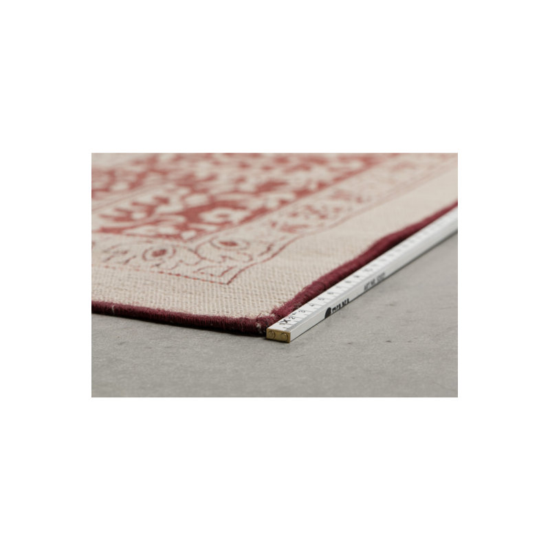 Oriental Area Rug