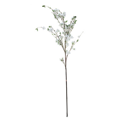 Branche de pommier