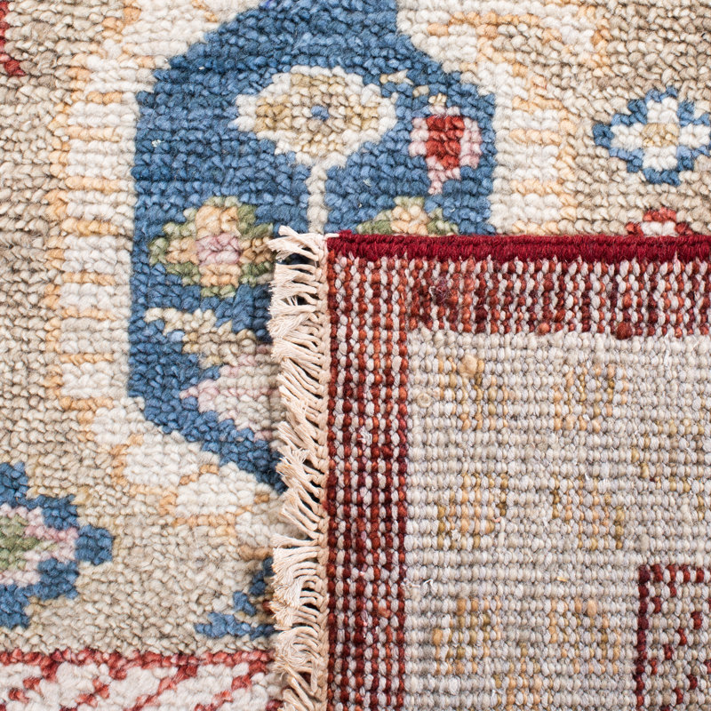 Tapis oriental en laine / coton oriental noué à la main beige / rouge / bleu, Rectangle 9 pi x 12 pi
