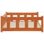 Pet Bed-1958300954