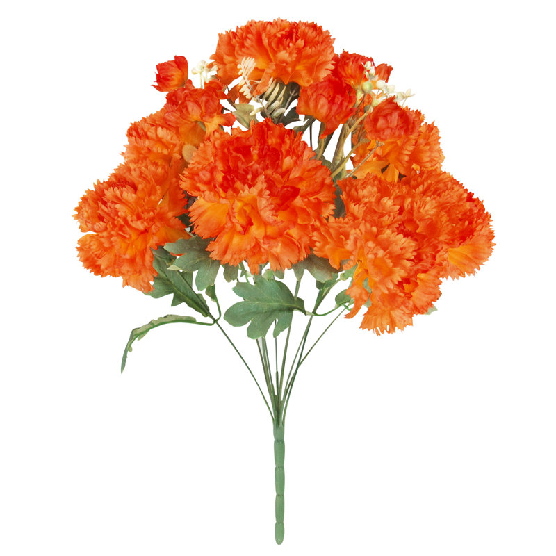 Oeillet, Orange