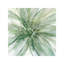 Macro Sage Flower Ii by Carol Robinson - Wrapped Canvas Painting-1411745521