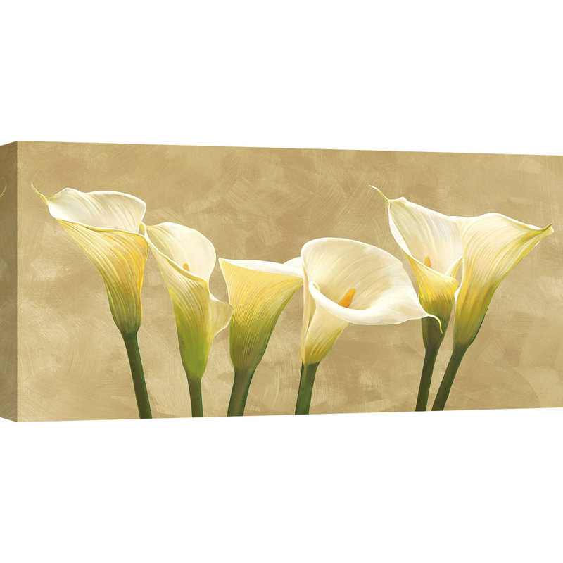 White Callas by Serena Biffi - Wrapped Canvas Painting, 50cm H x 100cm W x 4cm D