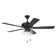 Craftmade Eos 4 Light Ceiling Fan