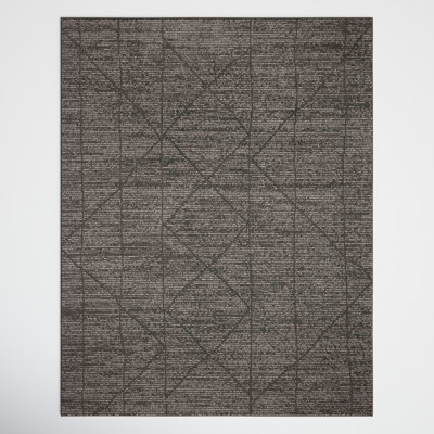 Peterkin Moroccan Indoor Rug
