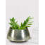 Pot à fleurs en aluminium Mandeville-411535565