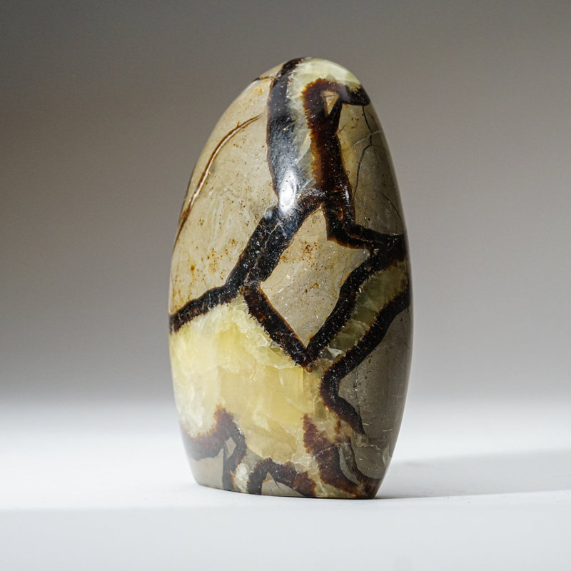 Polished Septarian Freeform from Madagascar (1.4 Lbs)