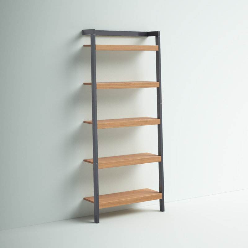 Alexzander Ladder Bookcase, Natural/Charcoal, 72.44'' H x 31.49'' W