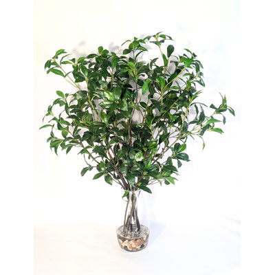 Ficus, saule, branches artificielles dans un vase