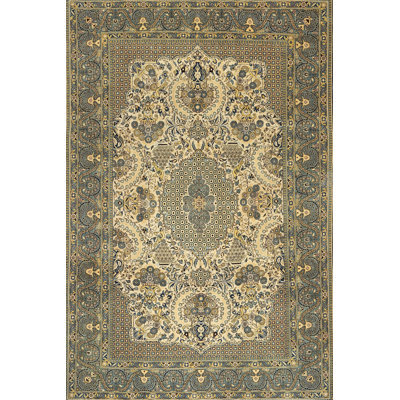 Oriental Indoor Rug