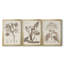 Antique sépia botanicals I - Ensemble de 3 peintures sur toile encadrées-1506276648-1506276651