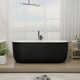 Colour 67''L x 31''W Freestanding Soaking Acrylic Bathtub with Chrome Drain and Overflow