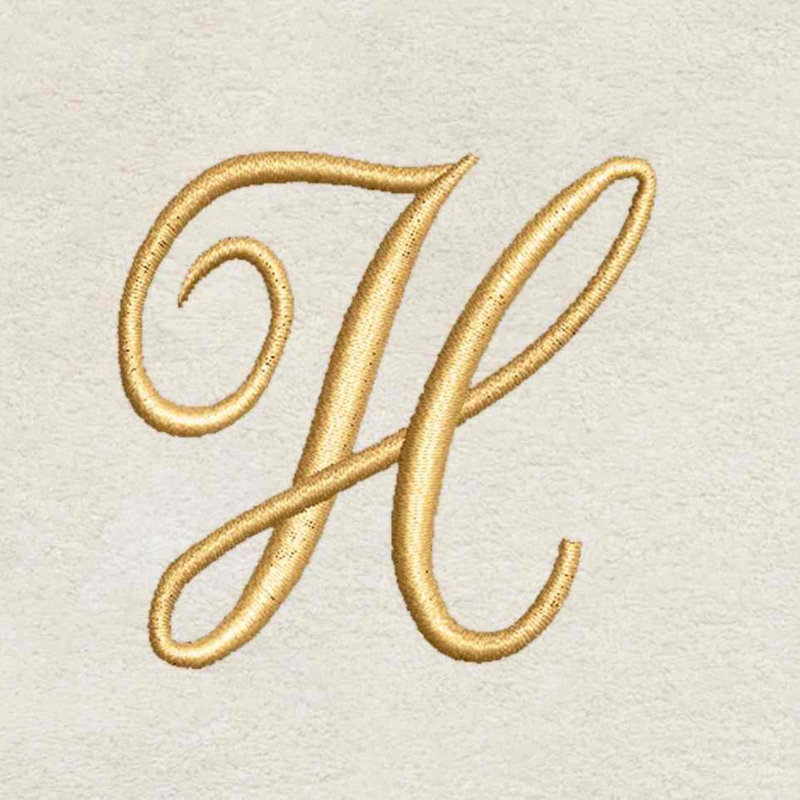 Winston Porter Zakaryan Fingertip Towel Letter H