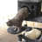 143cm H Cat Tree-1849861860