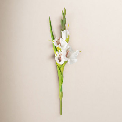 Lissa 21.5" Cheery Gladiola