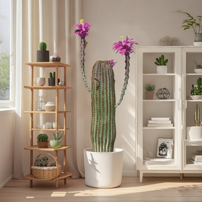 Artificial Cactus Plant Fake Cactus Potted Cactus Plant Indoor Cactus Decoration Outdoor Cactus Decoration Desert Cactus Home Decoration Plant Office Plant Decor PE Material Cactus Flower Pot Cactus