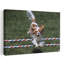 2000S Cavalier King Charles Spaniel Dog Agility Jumping Classic Retro Vintage Dog Wall Art-1522801188