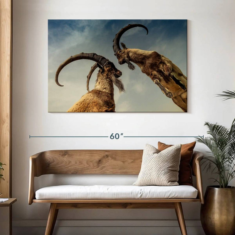 Brampt Goat Clash, 32" H x 48" W