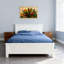 Plantes et fleurs, fleurs et feuilles tropicales-1744956855-1744956854-1744956857