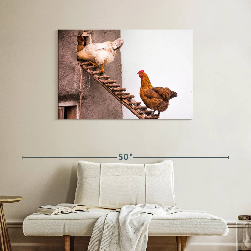 Brampt Chicken Coop, 26" H x 39" W