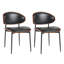 Ensemble de 2 chaises de salle à manger Mid-Century-2141540859