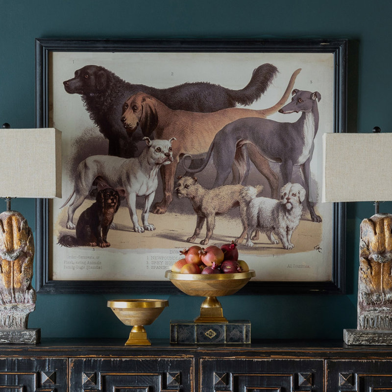 " Domestic Dogs "