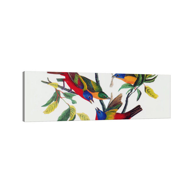 Painted Bunting by John Audubon - 1 Piece Panoramic Painting on Canvas, 182.88 cm H x 60.96 cm W, Brown Floater Framed