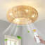 Ventilateur de plafond en cage 20 "avec lumières Hoai