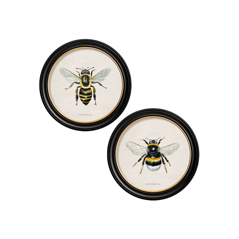 Honey Bee by Mid-1800s - Single Picture Frame Print on Archival Matt 230gsm Paper, Beige