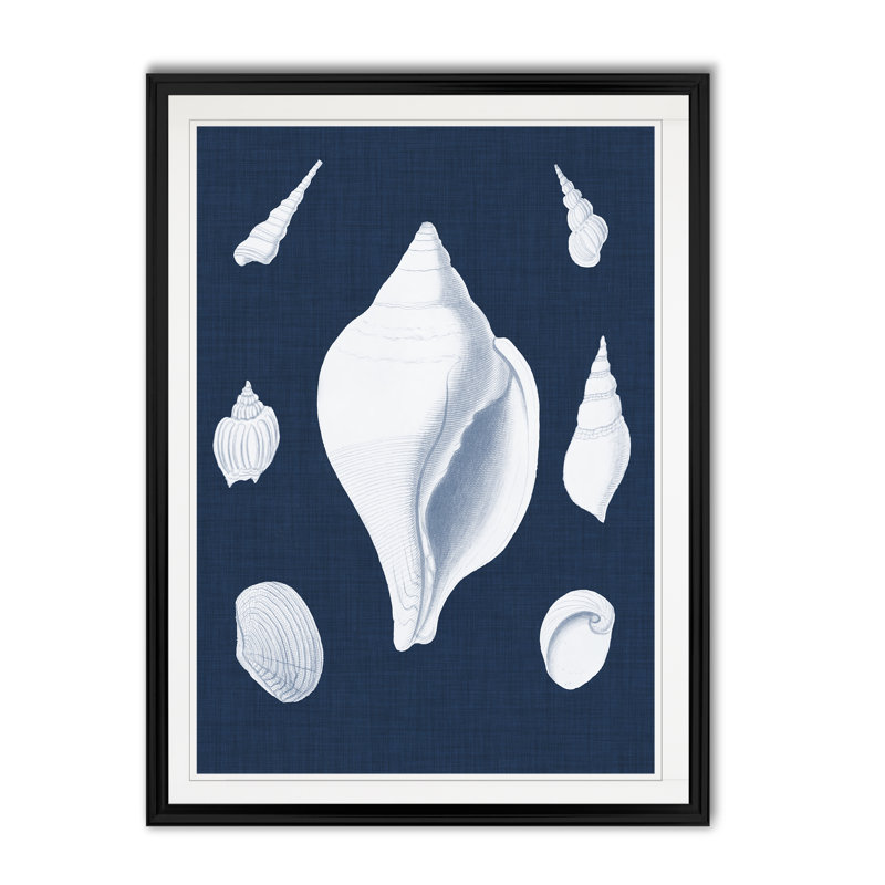 « coquillages blancs ii », impression sur toile, H 18,5 po x l 24,5 po x P 1,5 po, Noir