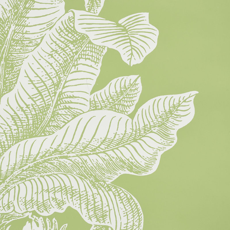 Grand Palms Wallpaper, Leaf