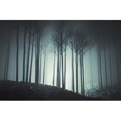 Forest At Night by Gremlin - Wrapped Canvas Print